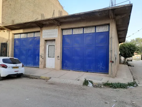 Vente Immeuble Chlef Chlef