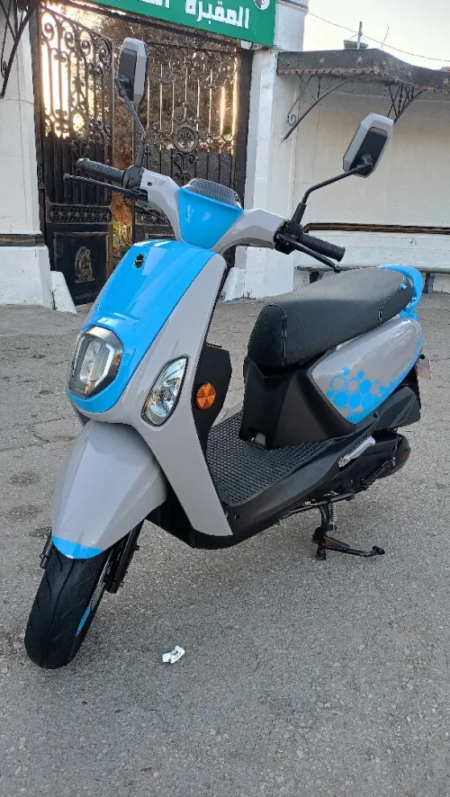 Vms Estate x 2025