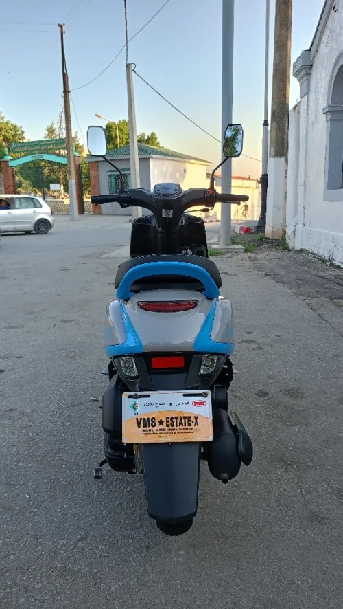 Vms Estate x 2025