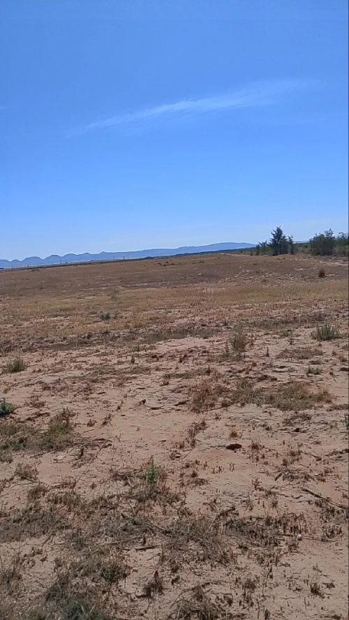 Vente Terrain Agricole Djelfa Benhar