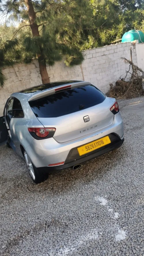 Seat Ibiza 2010 Loca