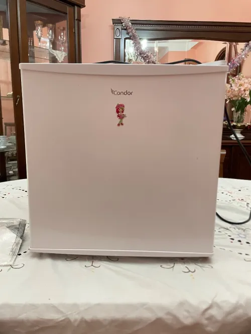 Frigidaire Condor