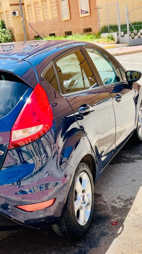 Ford Fiesta 2010 Fiesta