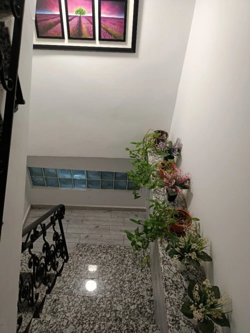 Location vacances Appartement Studio Oran Oran