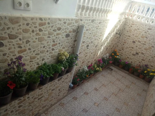Location vacances Appartement Studio Oran Oran