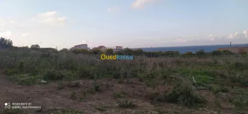 Vente Terrain Tizi Ouzou Azeffoun
