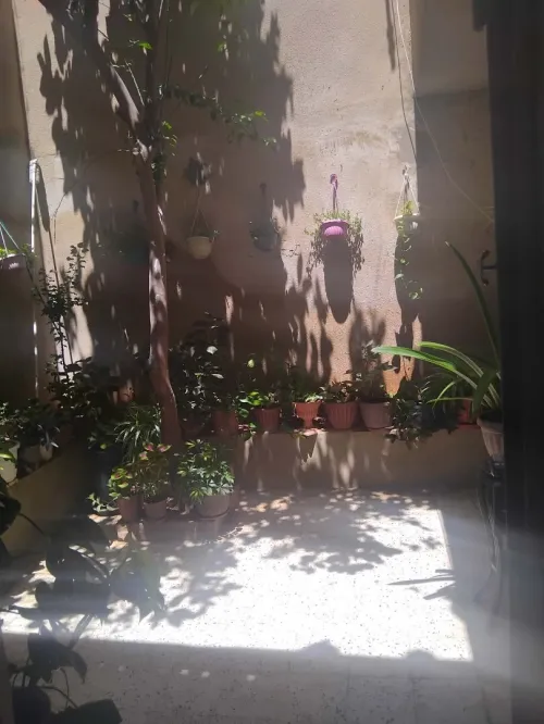 Vente Villa Chlef Chlef