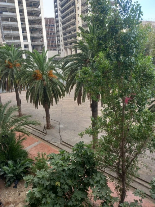 Vente Appartement F2 Alger Belouizdad