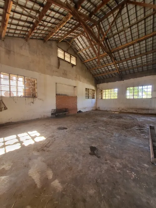 Location Hangar Boumerdès Hammedi