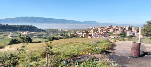 Vente Terrain Alger Douera
