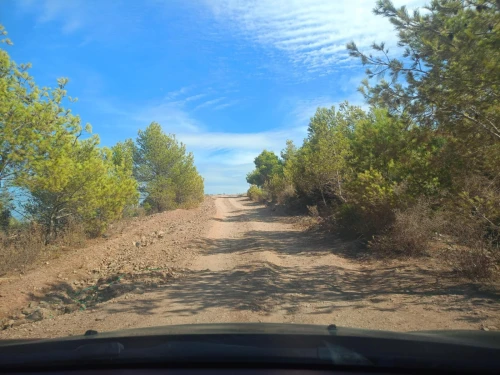 Vente Terrain Chlef Oued goussine