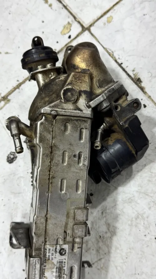 EGR BMW