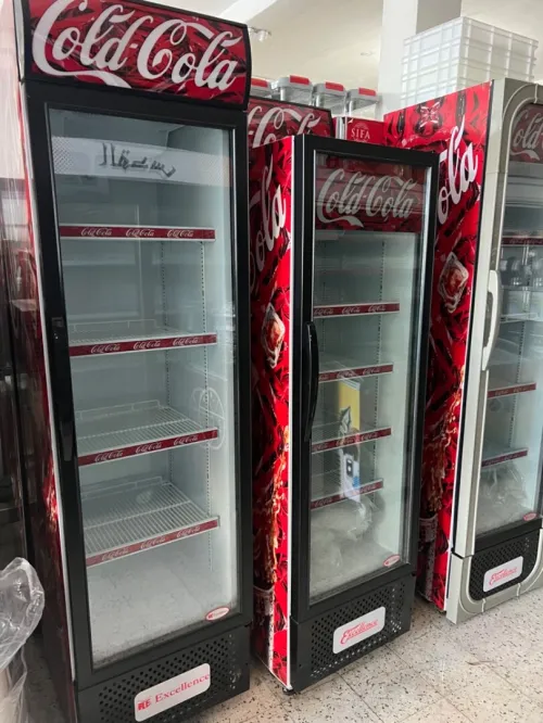 Frigo excellence 1/2 porte tous les capacity 2025