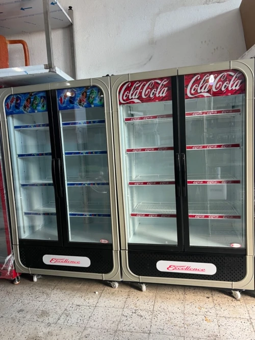 Frigo excellence 1/2 porte tous les capacity 2025
