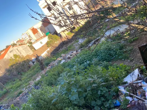 Vente Terrain Alger Draria