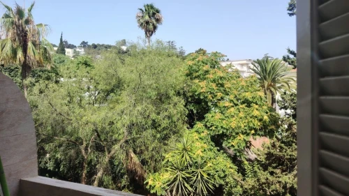 Vente Appartement F3 Alger Hydra 6