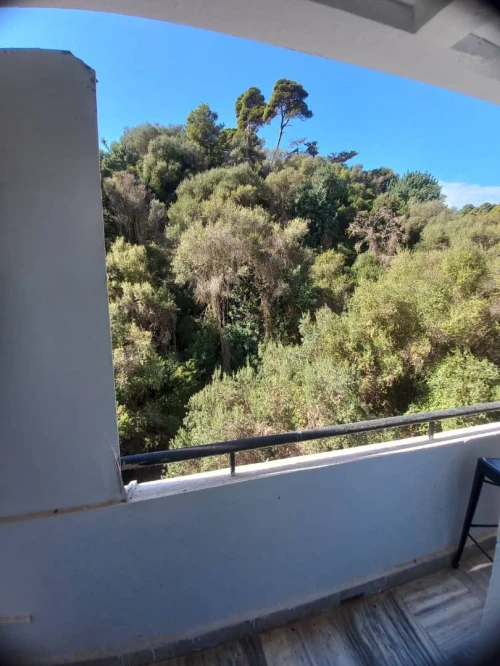 Location Appartement F3 Alger El biar