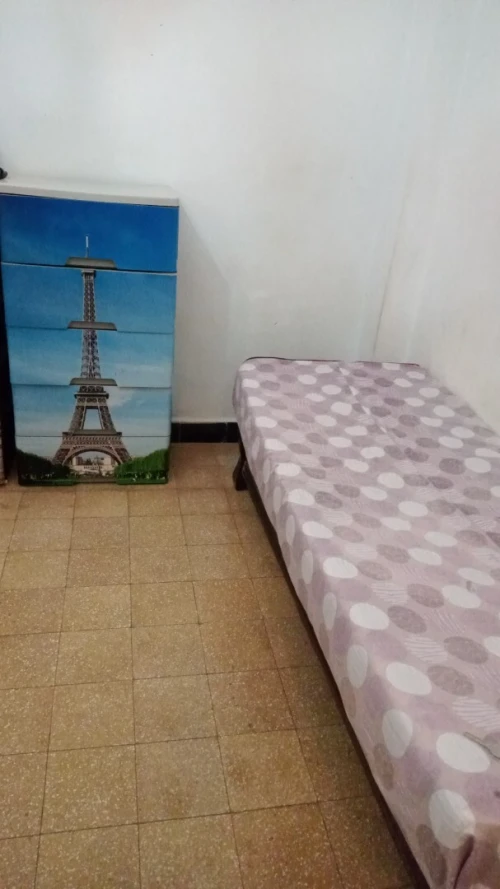 Location Appartement Duplex Alger Alger centre
