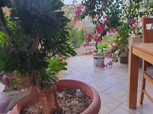 Vente Villa Bordj Bou Arreridj El achir