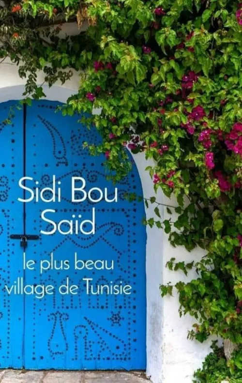 voyage oraganisé hammamet - tunis