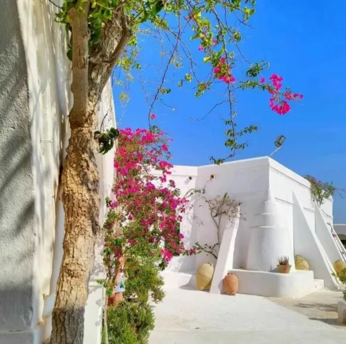 voyage organisé djerba