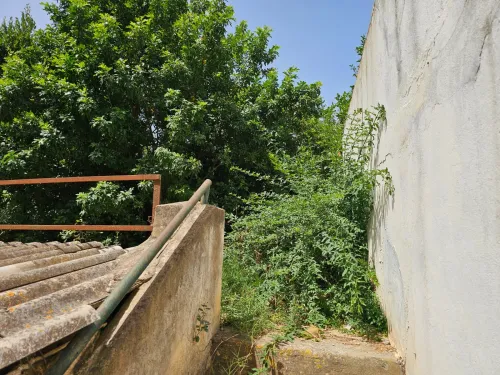 Location Villa Alger Kouba