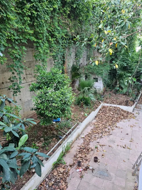 Vente Terrain Alger Hydra