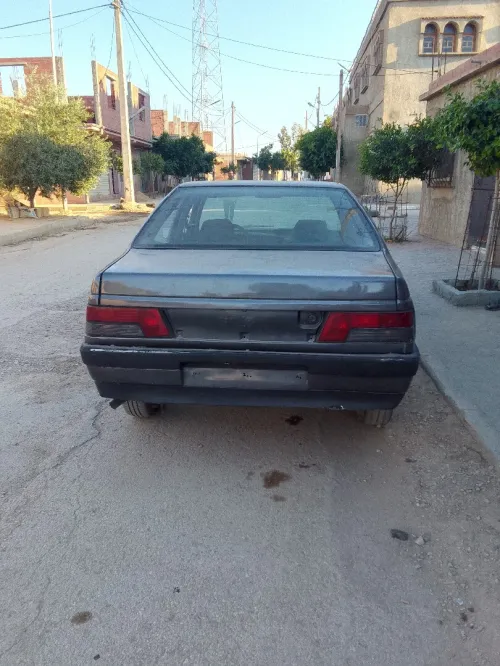 Peugeot 405 1989 405