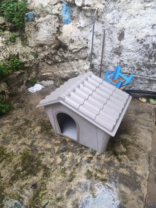 Niche pour chien