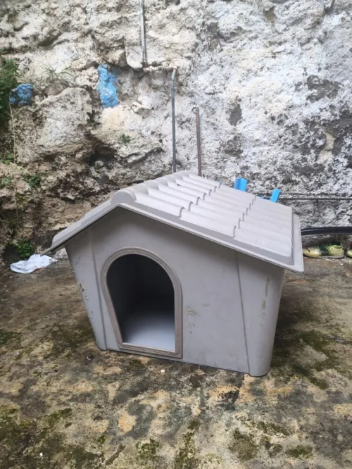 Niche pour chien