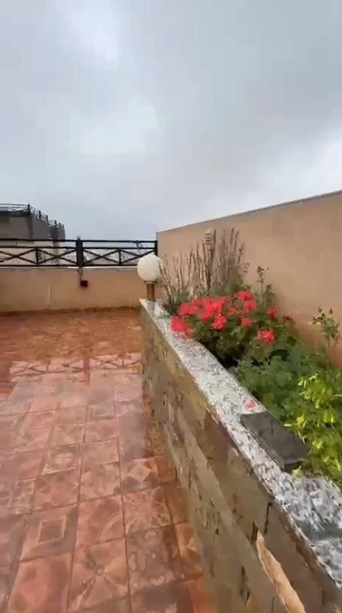 Location Appartement F5 Alger Dely brahim
