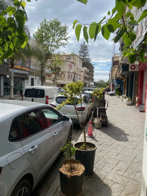 Location Appartement F5 Alger Staoueli