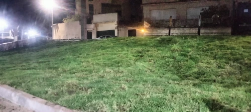 تهيئة المسحات الخضراء