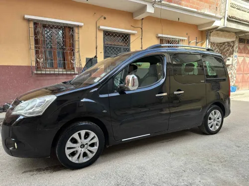 Citroen Berlingo 2009 Berlingo