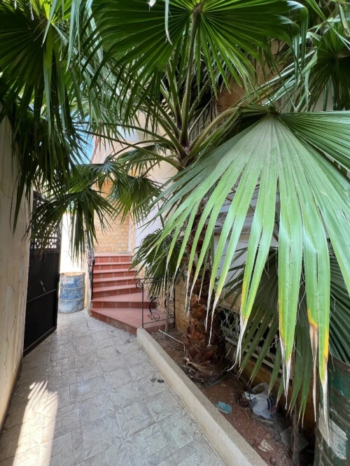 Vente Villa Alger Staoueli