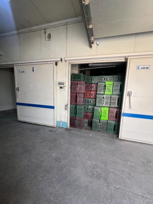 Vente Hangar - Usine Alger Oued smar