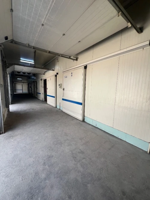 Vente Hangar - Usine Alger Oued smar
