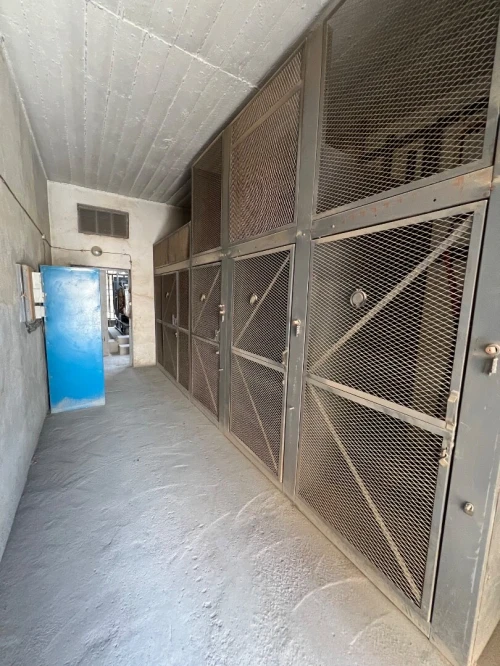 Vente Hangar - Usine Alger Oued smar