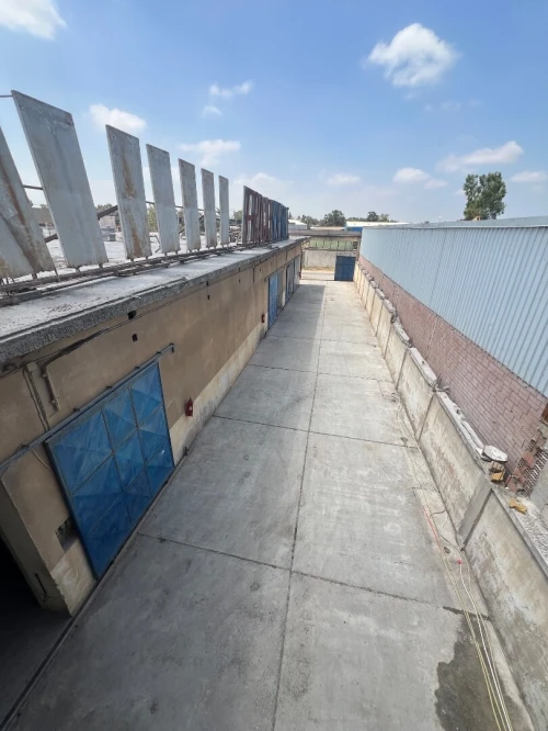 Vente Hangar - Usine Alger Oued smar
