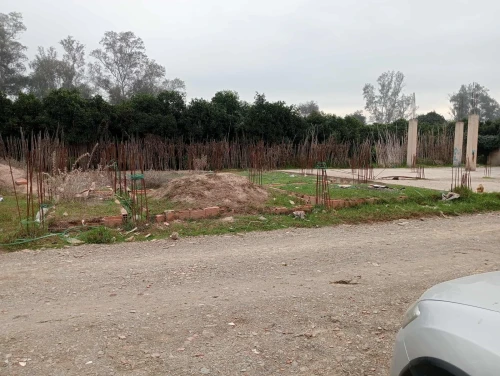 Vente Terrain Blida Ben khellil