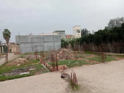 Vente Terrain Blida Ben khellil