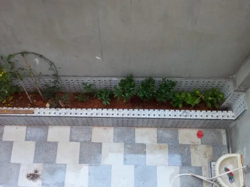 Location Appartement F3 Alger Cheraga