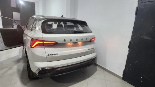 Skoda 2025 2025 