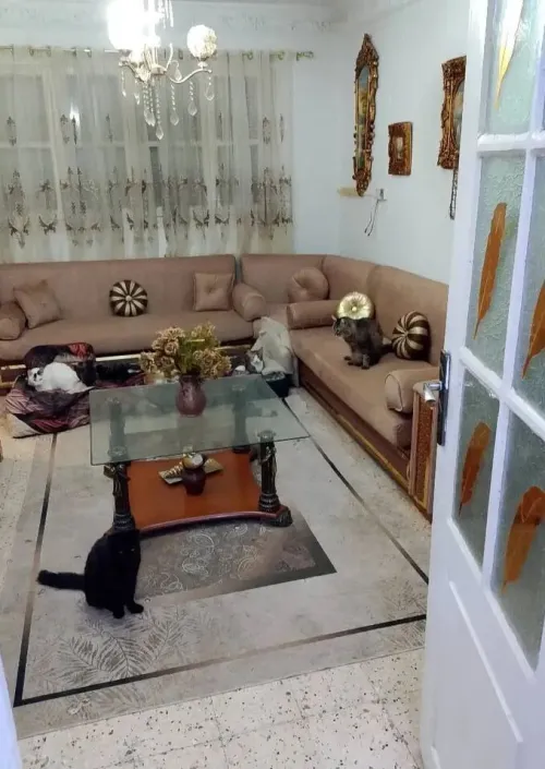 Vente Appartement F3 Alger Ain naadja