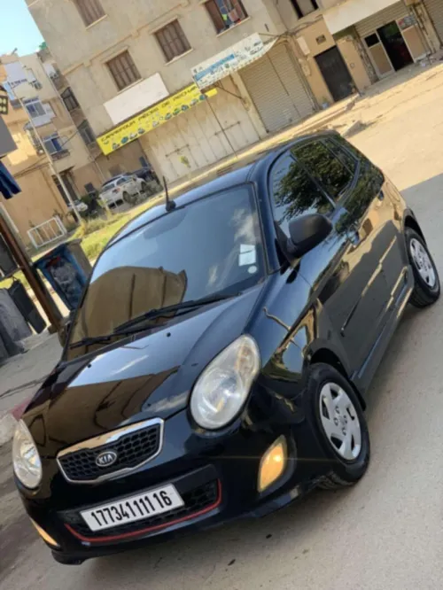 Kia Picanto 2011 fani