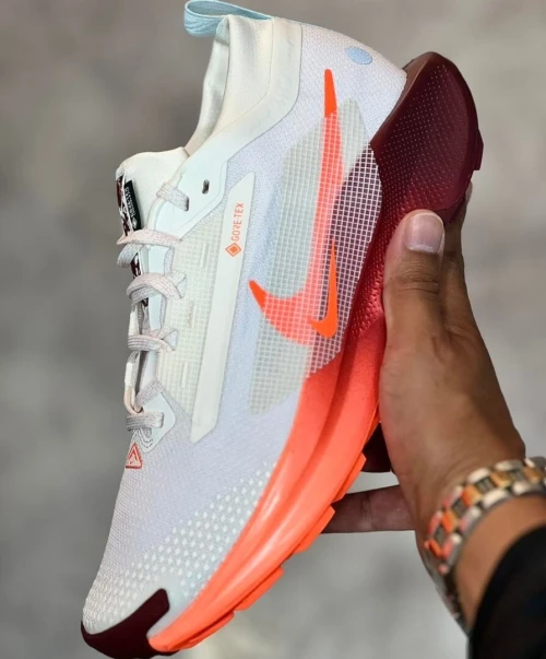Nike trail 5 gortex