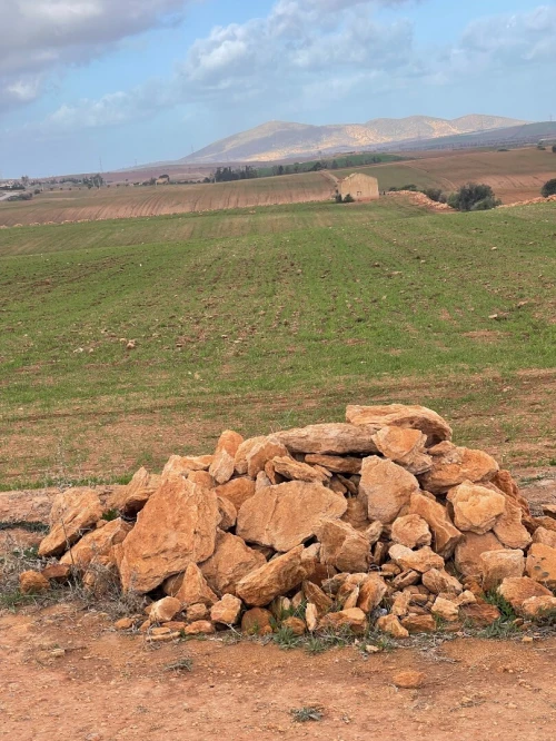Vente Terrain Agricole Aïn Témouchent Chaabet el ham