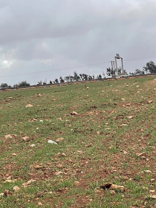 Vente Terrain Agricole Aïn Témouchent Chaabet el ham