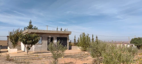 Vente Terrain Agricole Aïn Témouchent Ouled kihal