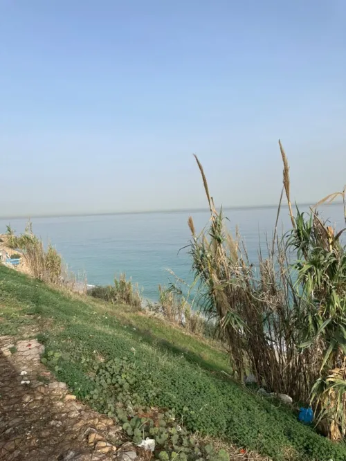 Vente Appartement F3 Alger Ain taya